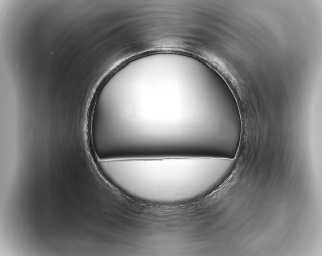 X0000093741331200710160742