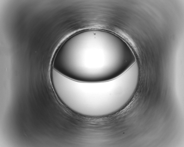 X0000093741332200710160742