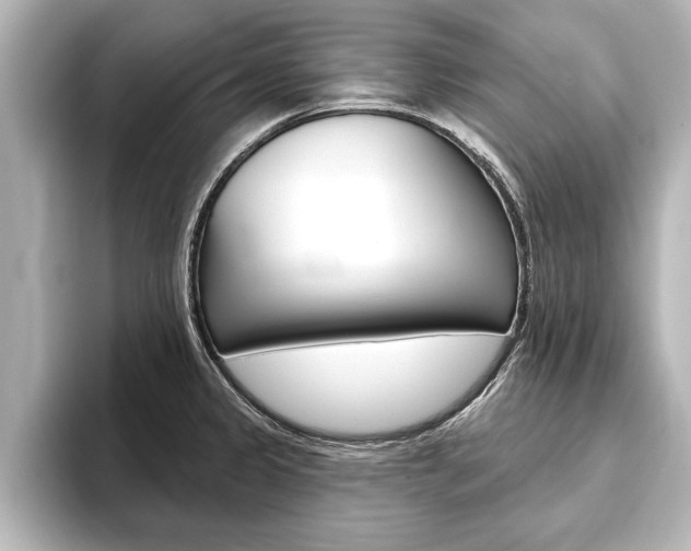 X0000093741333200710160742