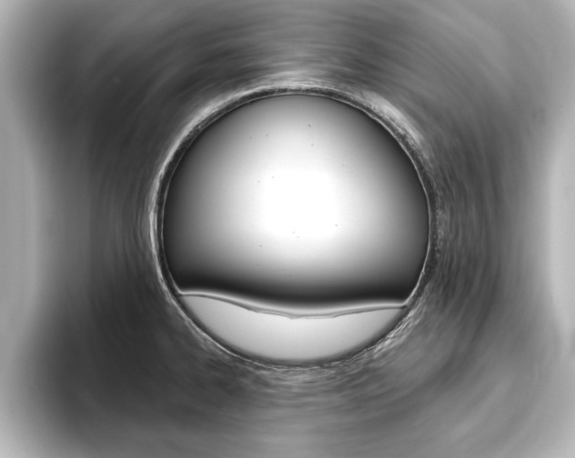 X0000093741334200710160742