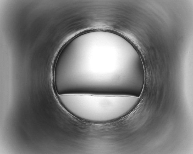 X0000093741335200710160742