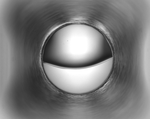 X0000093741336200710160742