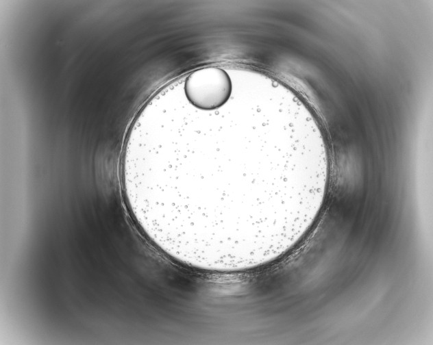 X0000093741338200710160742