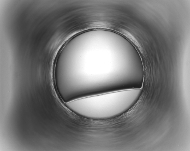 X0000093741339200710160742