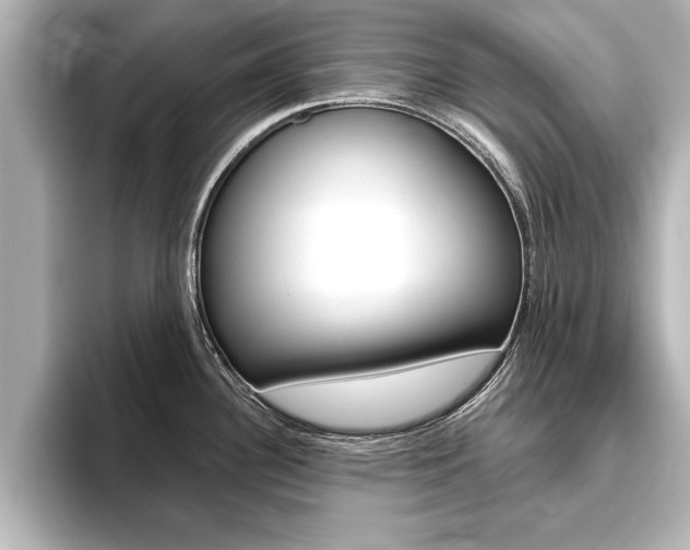 X0000093741340200710160742