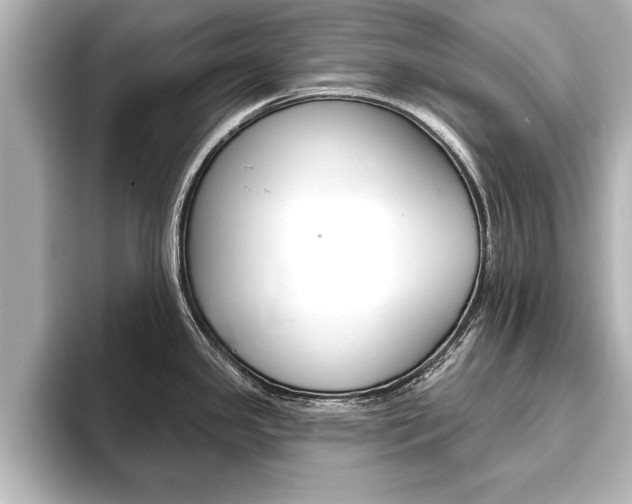 X0000093741341200710160742