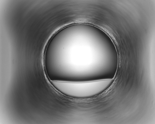 X0000093741342200710160742