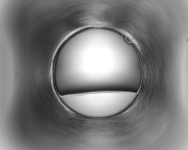 X0000093741343200710160742