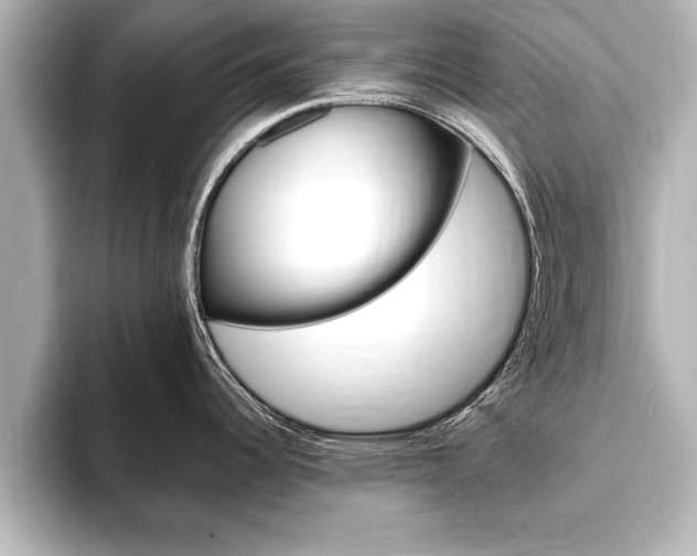X0000093741344200710160742