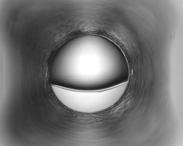 X0000093741348200710160741