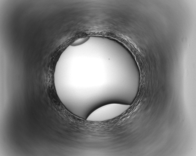 X0000093741350200710160741