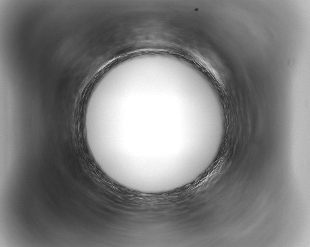 X0000093741352200710160741