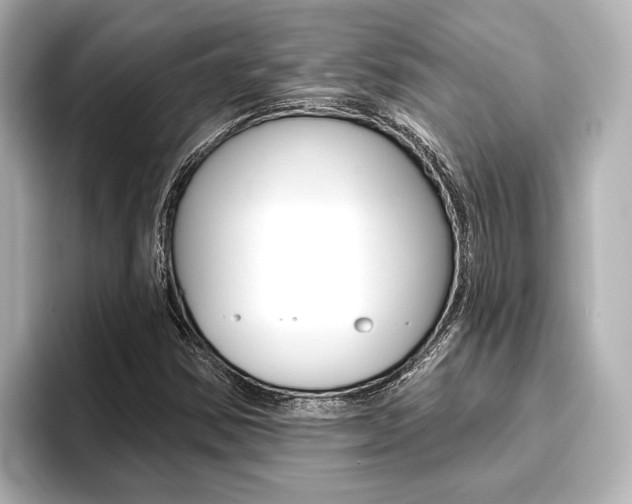 X0000093741354200710160741