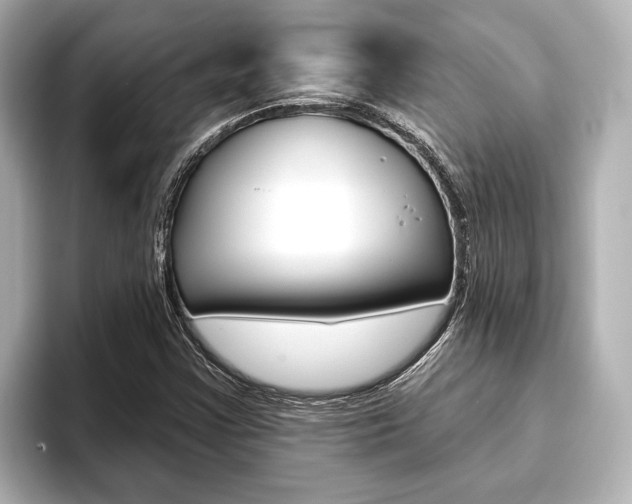 X0000093741355200710160741