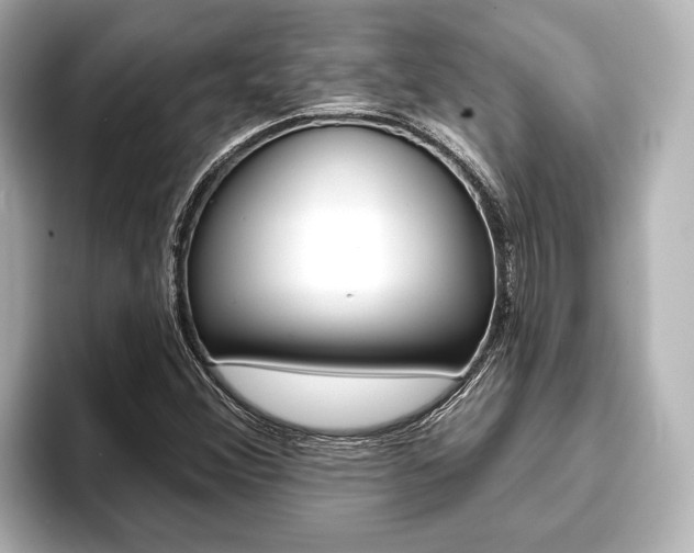 X0000093741356200710160741