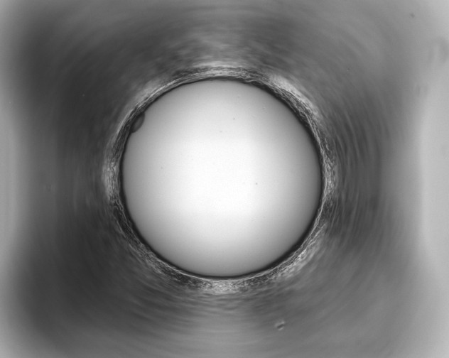 X0000093741357200710160741