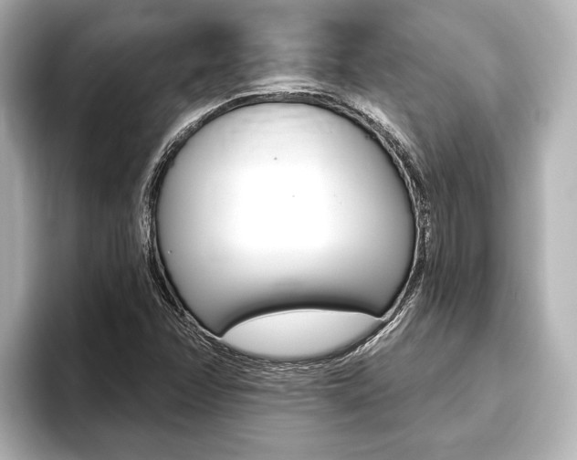 X0000093741358200710160741