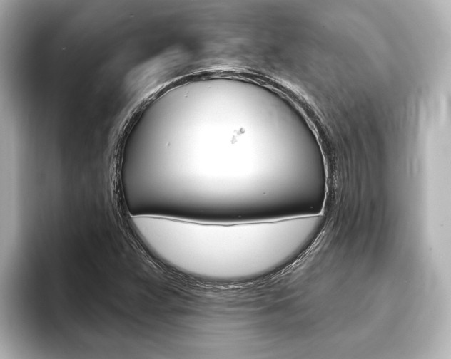 X0000093741359200710160741