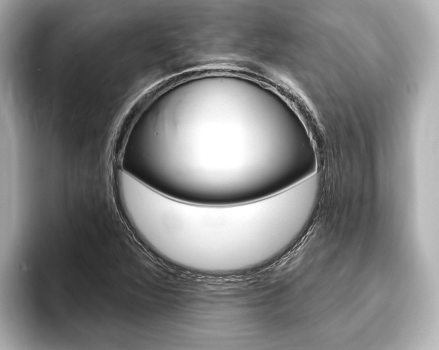 X0000093741360200710160741