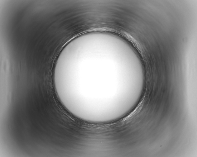 X0000093741361200710160741