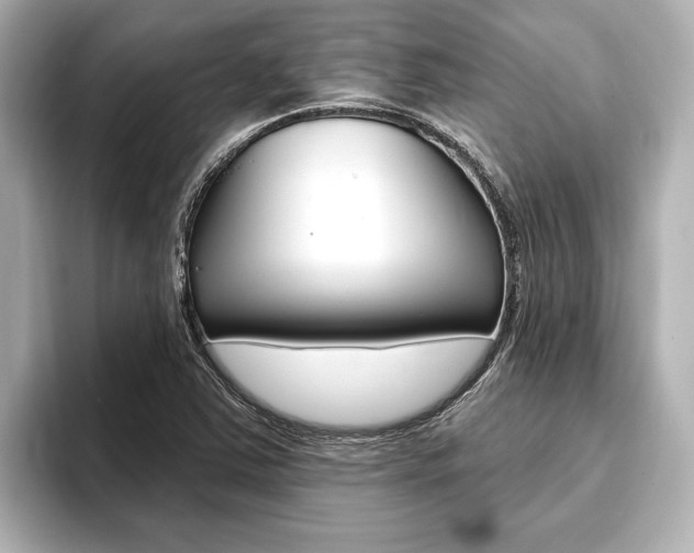 X0000093741363200710160741