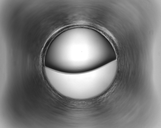 X0000093741364200710160741