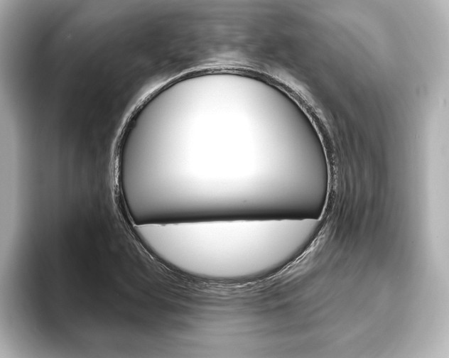 X0000093741366200710160741