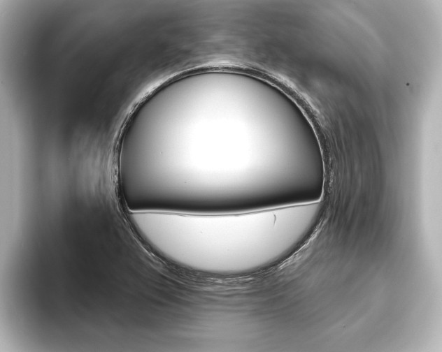 X0000093741367200710160741