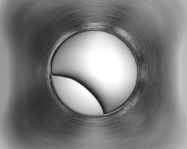 X0000093741370200710160741