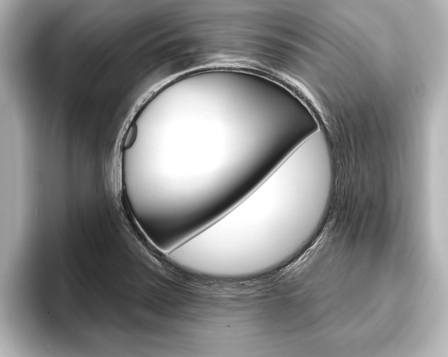 X0000093741371200710160741