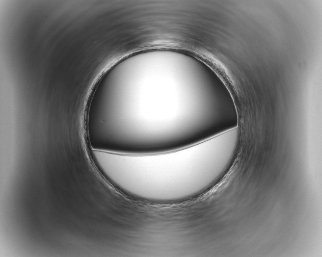 X0000093741373200710160741