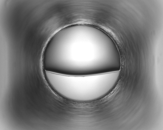 X0000093741375200710160741