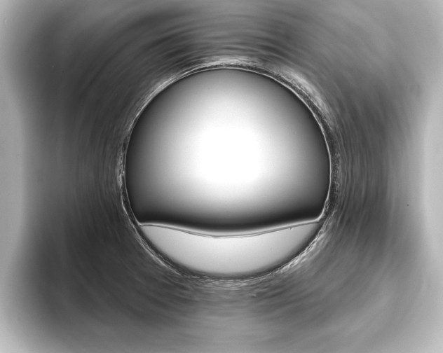 X0000093741377200710160741