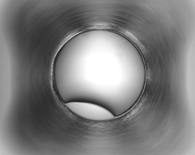 X0000093741378200710160741