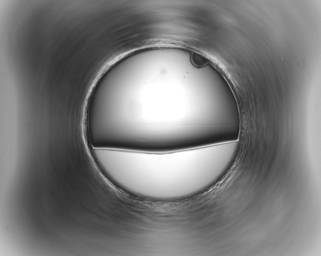 X0000093741379200710160741