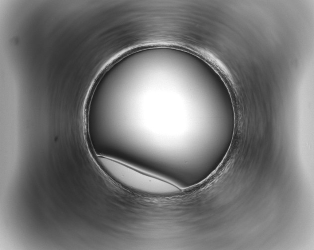X0000093741380200710160741