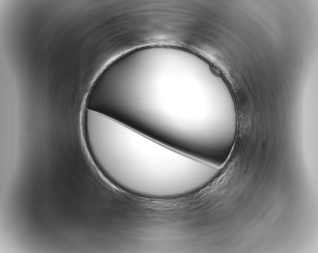 X0000093741383200710160741