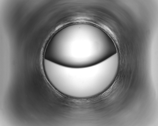 X0000093741384200710160741