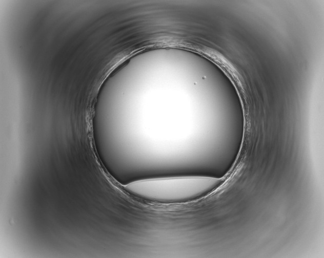 X0000093741385200710160741