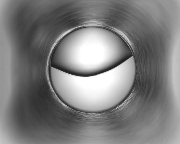 X0000093741387200710160741