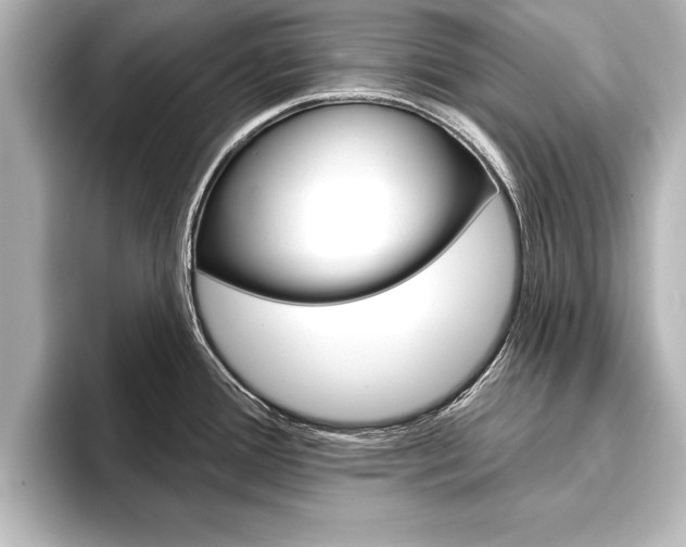 X0000093741388200710160741