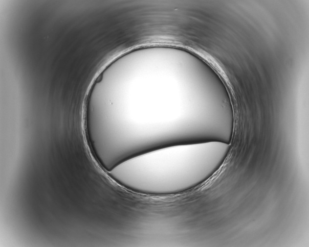 X0000093741390200710160741
