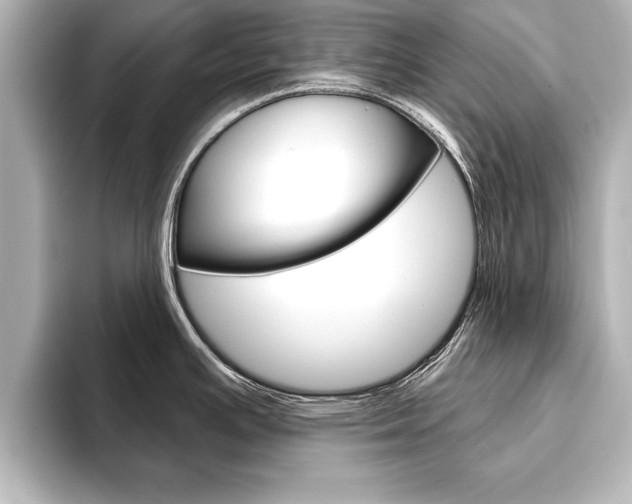 X0000093741391200710160741