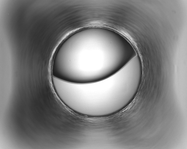 X0000093741392200710160741