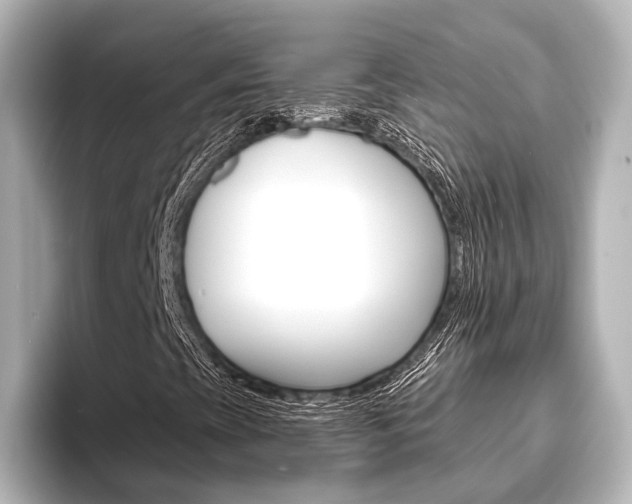 X0000093741393200710160740