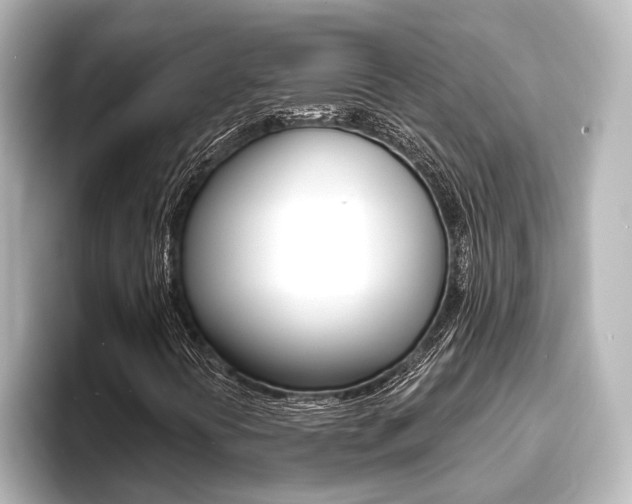 X0000093741394200710160740