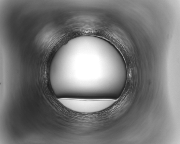X0000093741396200710160740