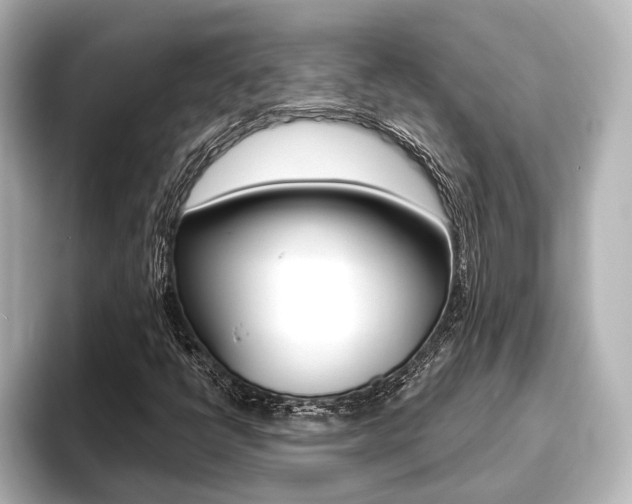 X0000093741398200710160740