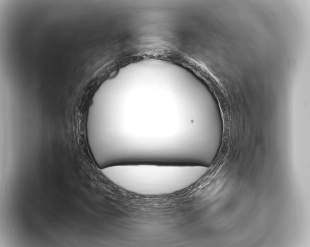X0000093741399200710160740