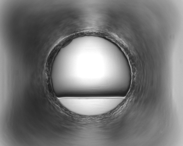 X0000093741400200710160740